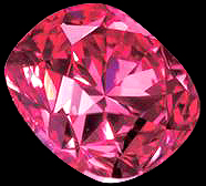 Noor Pink Jewels